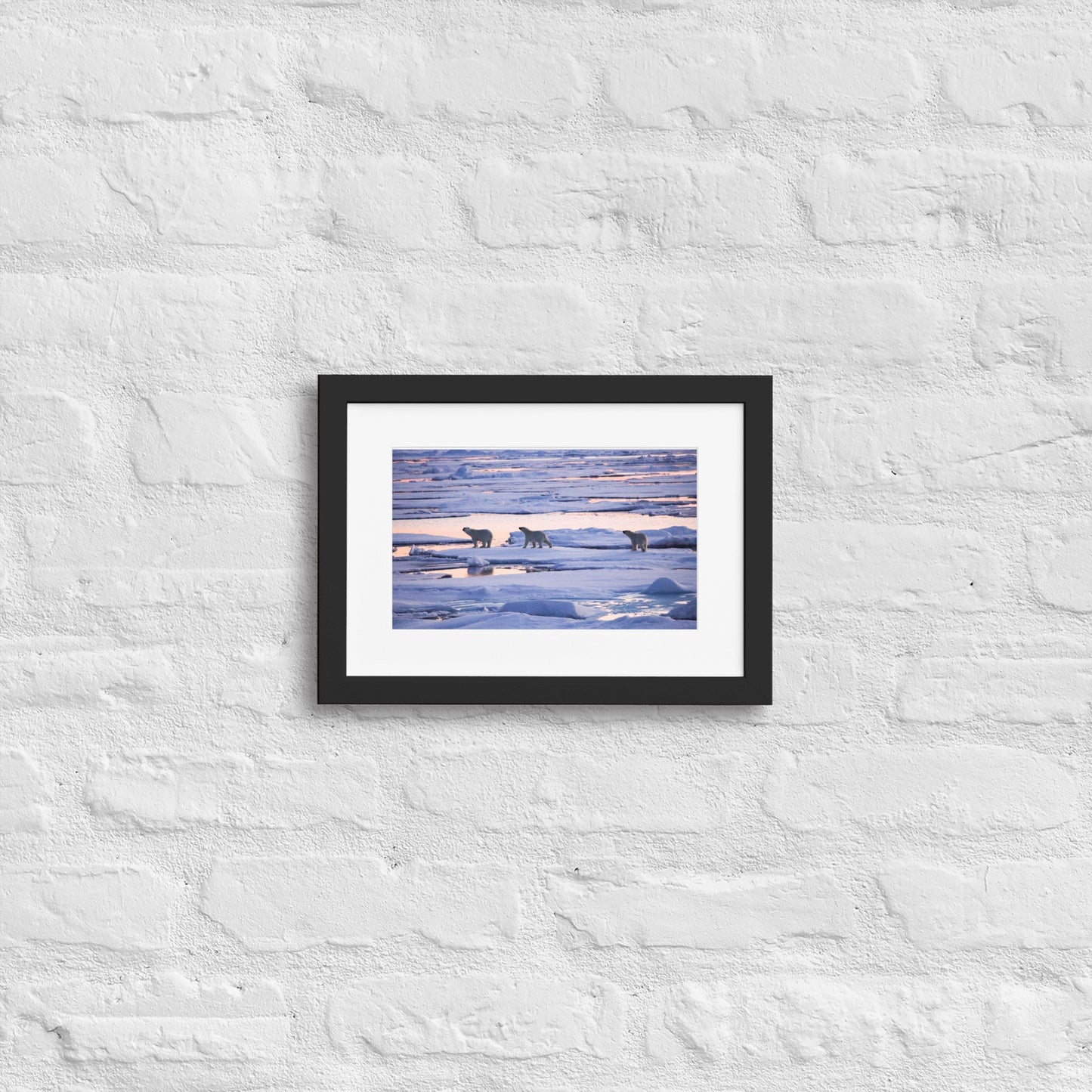 Polar Bears in Arctic Twilight - Matte Paper Framed Poster With Mat - Jamie Van Jones#Nature#