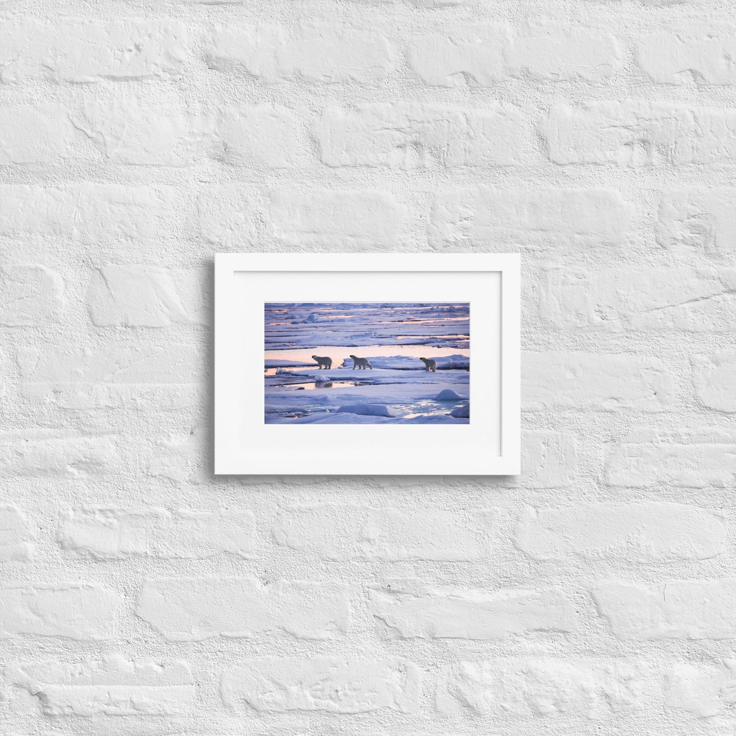 Polar Bears in Arctic Twilight - Matte Paper Framed Poster With Mat - Jamie Van Jones#Nature#